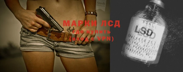 стафф Аркадак