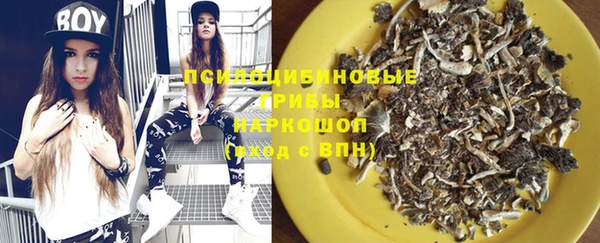 стафф Аркадак