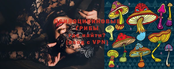 стафф Аркадак