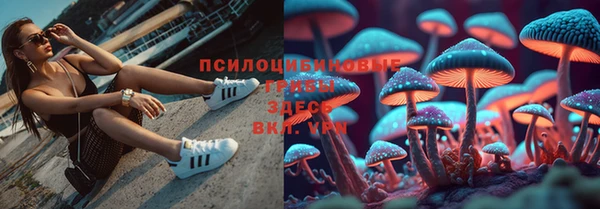МДПВ Армянск