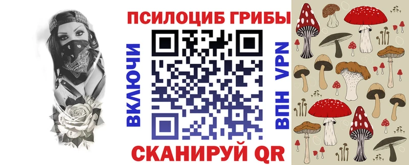 купить   Нижний Ломов  Псилоцибиновые грибы Psilocybine cubensis 
